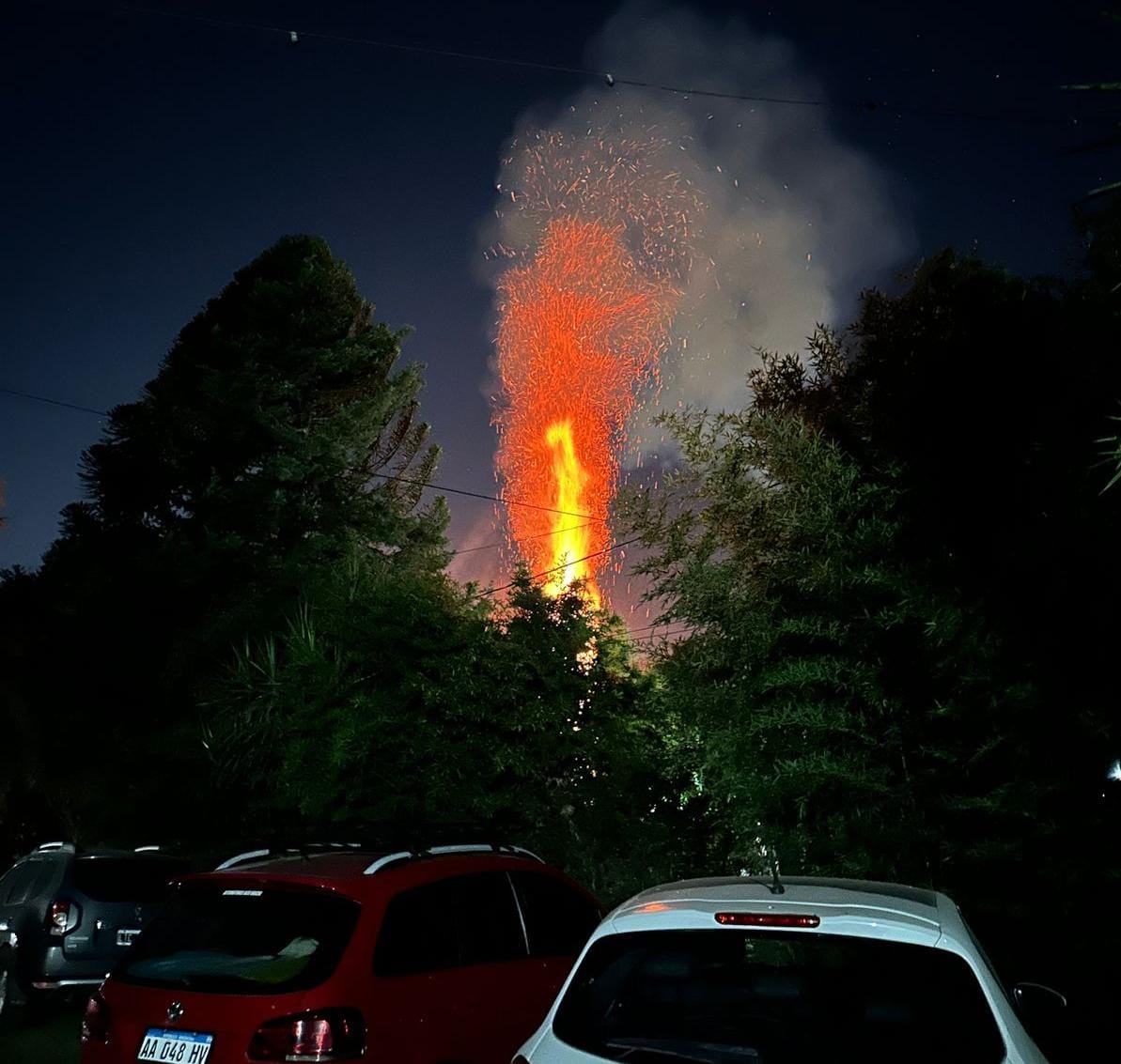 Una cañita voladora provocó el incendio de un pino en Funes y los vecinos denuncian uso de pirotecnia